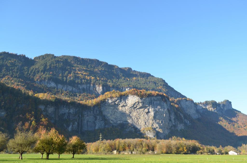 Mountain-Panorama Apartman Meiringen Kültér fotó
